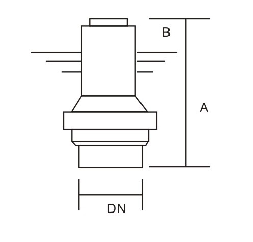 1772014757166197.jpg 1564124999658435.jpg